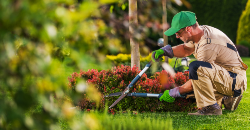 contractor leads. image of a gardener