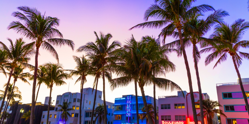 top 5 SEO companies in Miami, FL